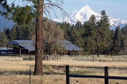 ranch with mt hood thumbnail graphic